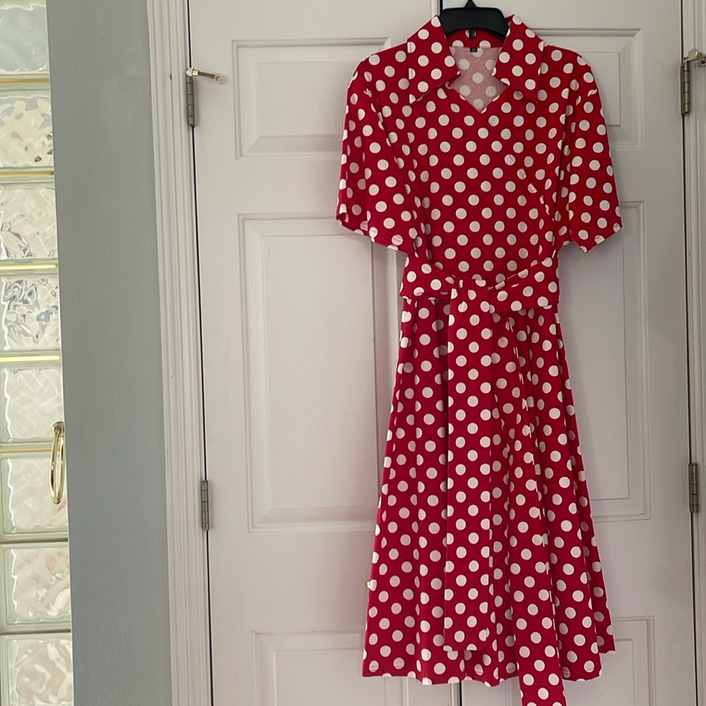 Red and white polka dot dress. Perfect for an everyday 50’s vibe or costume.